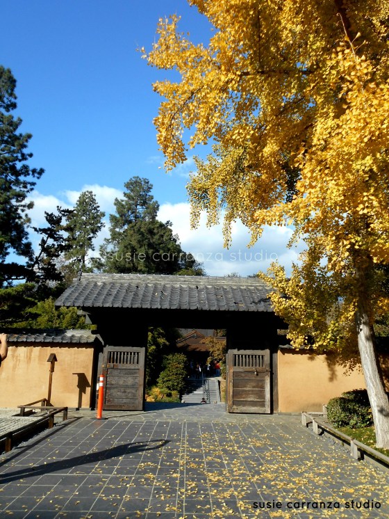 zen garden, huntington library, nov. 2013