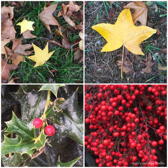 Photos from my sister's garden...