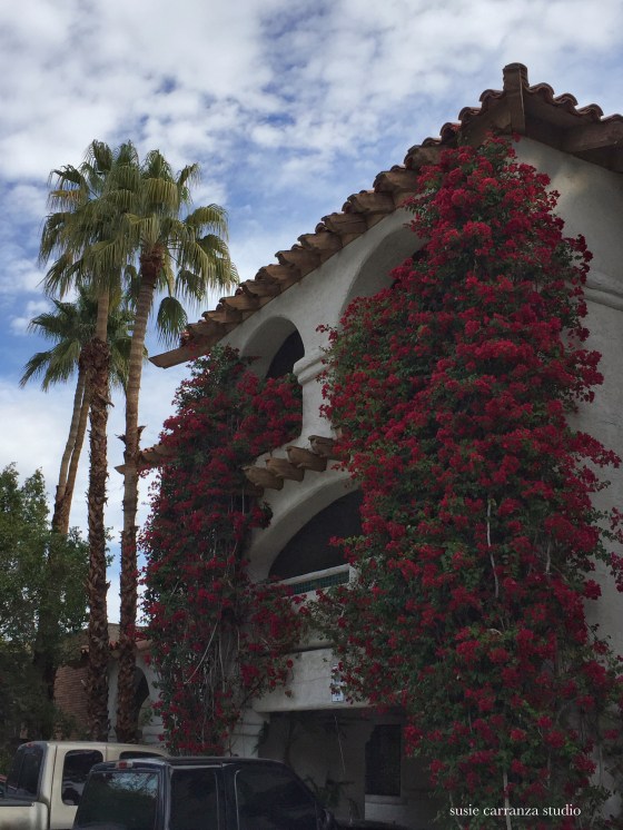 Our hotel in Palm Springs - susie carranza studio