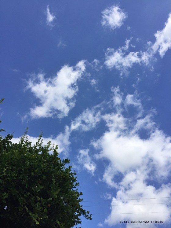 first day of fall...! - susie carranza studio