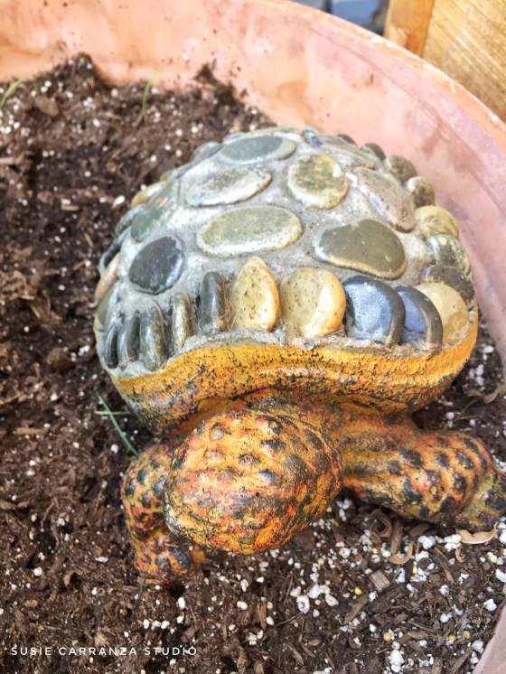 first day of fall...! - susie carranza studio