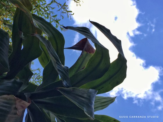 first day of fall...! - susie carranza studio